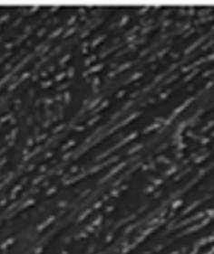 microstructure with 27 J ~ 36 J, and equiaxed