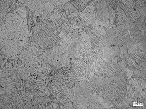 sintered microstructures.