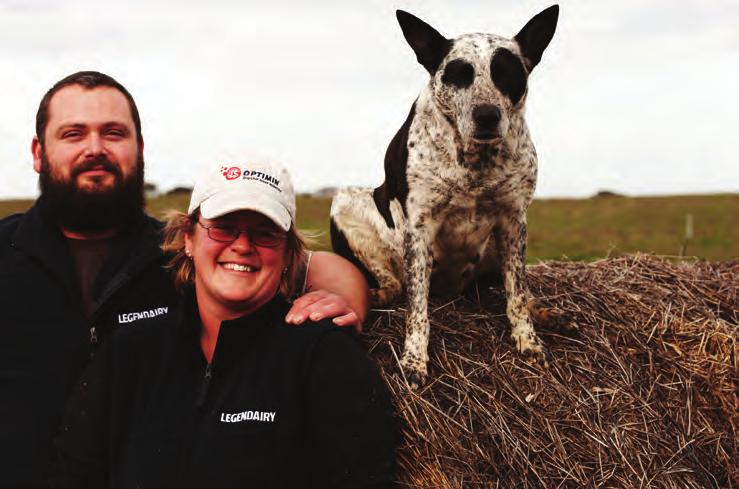 Working with cows the best job in the world South Australian share-farmer Beck Middleton says she has the best job in the world.