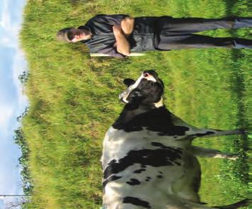 Simple measures achieve good reproductive performance With the decline in dairy cow fertility in Australia, there has been increasing difficulty for seasonal calving dairy herd owners to maintain a