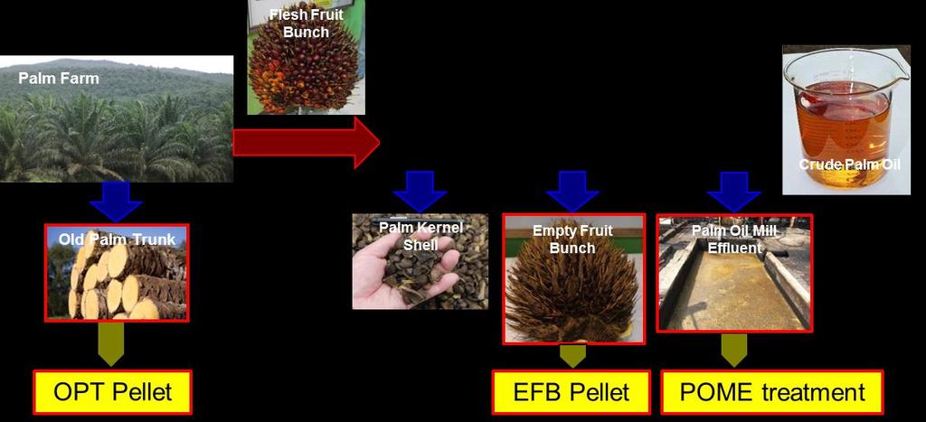 3-4. Solution for Palm Oil Industry Palm Oil Industry + IHI s