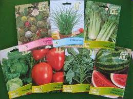 meal Plant products :- Fiber,