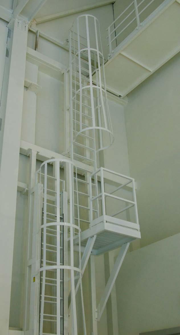 Fixed Vertical Ladders with Overshoot (Side Exit) 0 Ladder