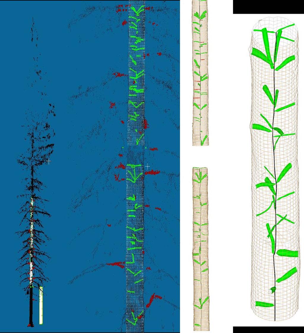 Next steps LiDAR (tree shape) + CT Scan (knots) Link terrestrial LiDAR information on branchiness with