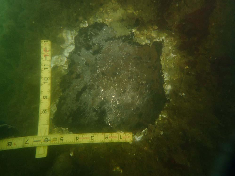 Underwater Condition Assessment Photograph 11 : Underwater View of the Typical Steel