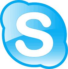1:1 Skype Call