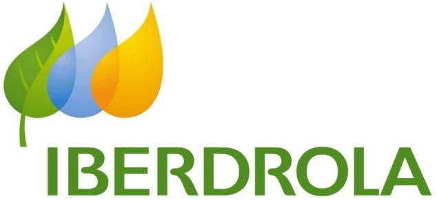 Auction Guide for Iberdrola Group Suppliers May 2009