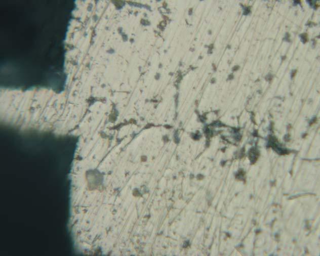 Figure 3.11 Cross section of joined Cu pillars (high magnification) 3.