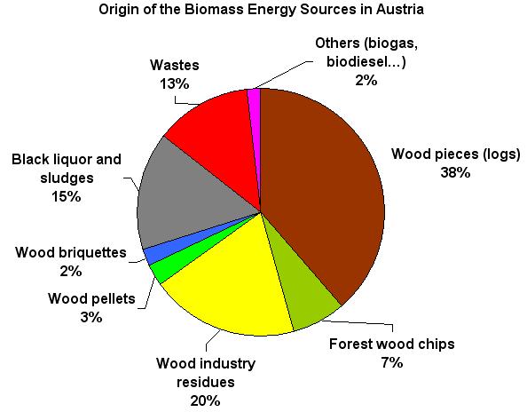 Basisdaten Bioenergie