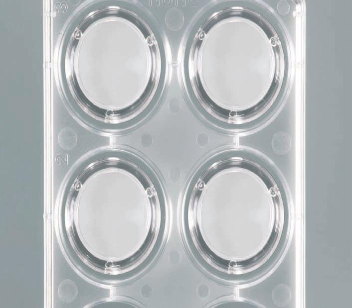 Inserts Need a membrane surface? Culturing without matrix coating Versatility (pore sizes from 0.
