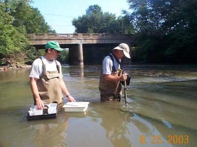 Ecological Assessment Ohio EPA Division of Surface Water, Ecological Assessment Section staff returned to the site in