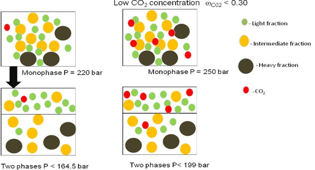 3.2. Proposed Segregation Mechanism Phase Based on the observation that at carbon dioxide mass fraction higher than 0.