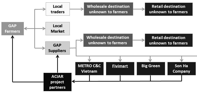 The linkage between some farmer groups to some retailers in Ha Noi has been rather developed, especially between Tu Nhien village and FiviMart, and thus the farmer-collector in this village has