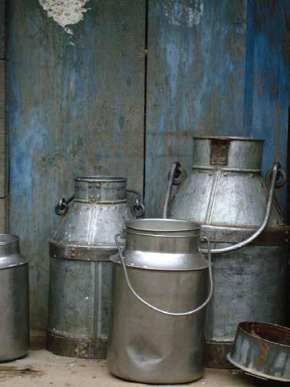 smallholder dairying in Bihar,