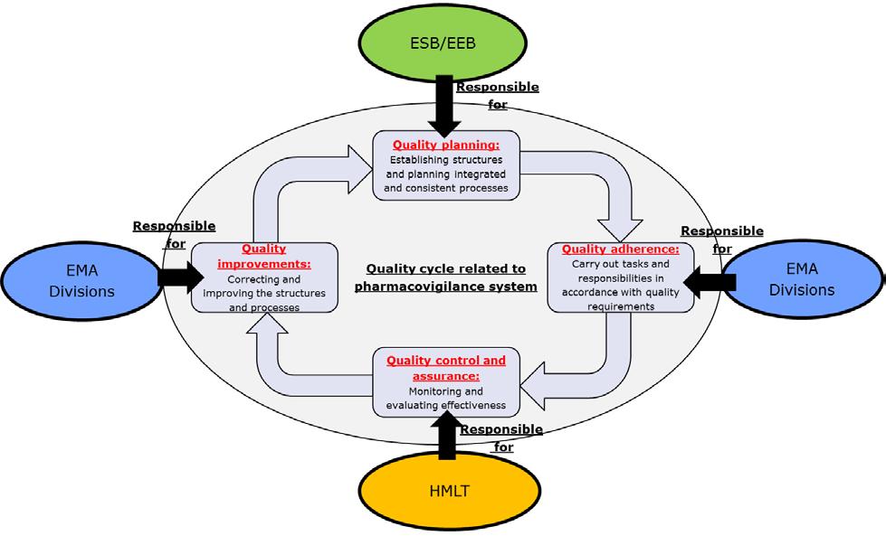 Figure 5. EMA leadership responsibility in the quality cycle (pharmacovigilance system) EXB MLT 4.
