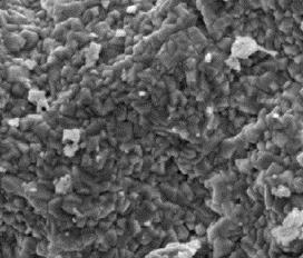 SCANNING ELECTRON MICROSCOPY SEM was used to analyze the microstructure of nickel ferrite and copper ferrite nanopowders after grinding.