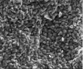 When sintering was performed at 600 ºC, the micrograph shows Fig. 1.2 the crystals are distributed more uniformly having smaller grain size without porous.