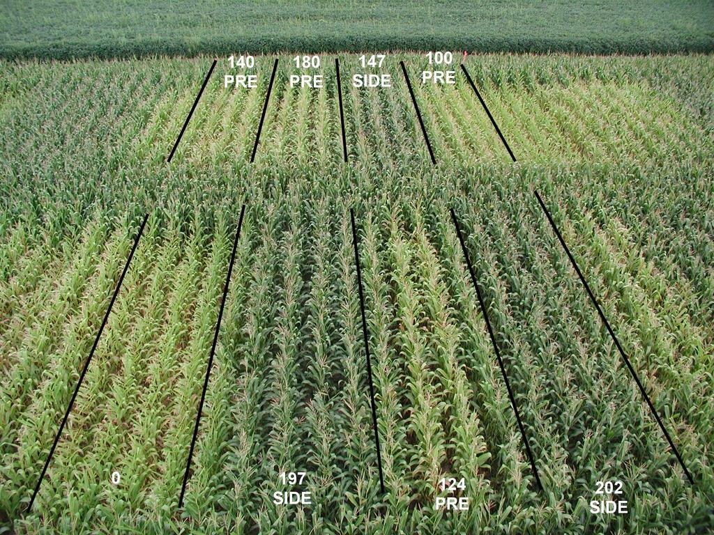 80 bu difference