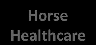 Healthcare Horse Industry