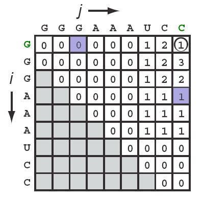 Base Pair Maximization: Dynamic Programming Alignment Method: Align RNA strand to itself Score increases for feasible base pairs