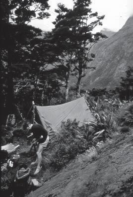 Figure 6 People of Ngati Kuia assist in translocation of a rare bird from their tribal area (photo by Don Merton).