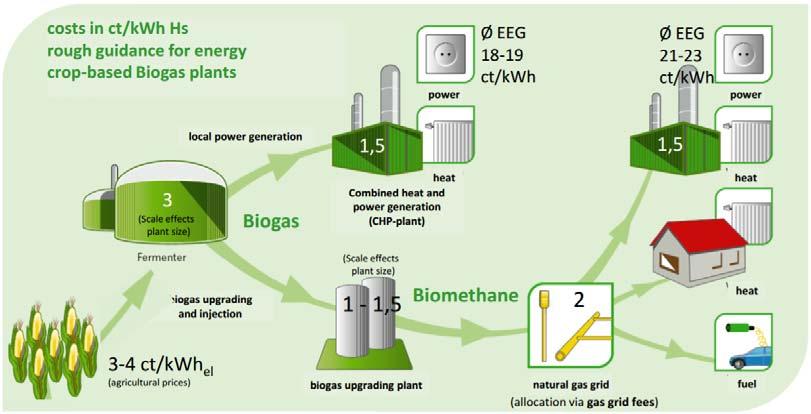 Figure 118: Biomethane supply chain under EEG [127] Biomethane projects benefit also from a gas grid cost sharing between the biomethane producer and the grid operator (GasNZV).