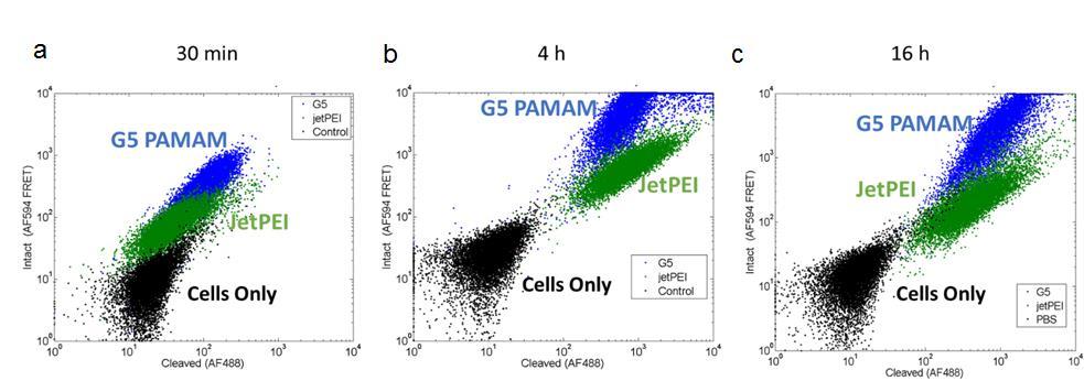 Figure S10. OMB Degradation Over Time Studied Using Flow Cytometry. (a) HEK 293A cells exposed for 30 minutes to either G5 PAMAM or jet PEI polyplexes (N:P 10:1) formed using 0.