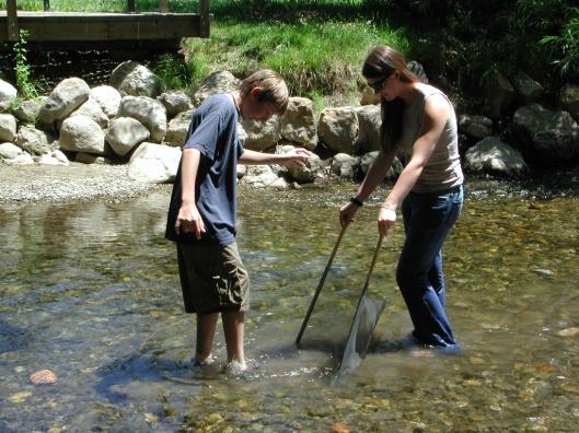 c. Students can carefully pick up and rub stones directly in front of the net to remove attached animals. The stream bottom materials and organisms will be carried into the net by the current. d. Tell the students to continue this process until they see no more organisms being washed into the net.