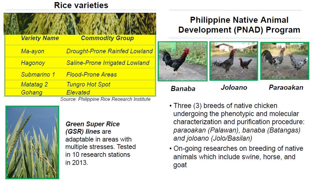 Philippine Adaptation & Mitigation Knowledge Toolbox in