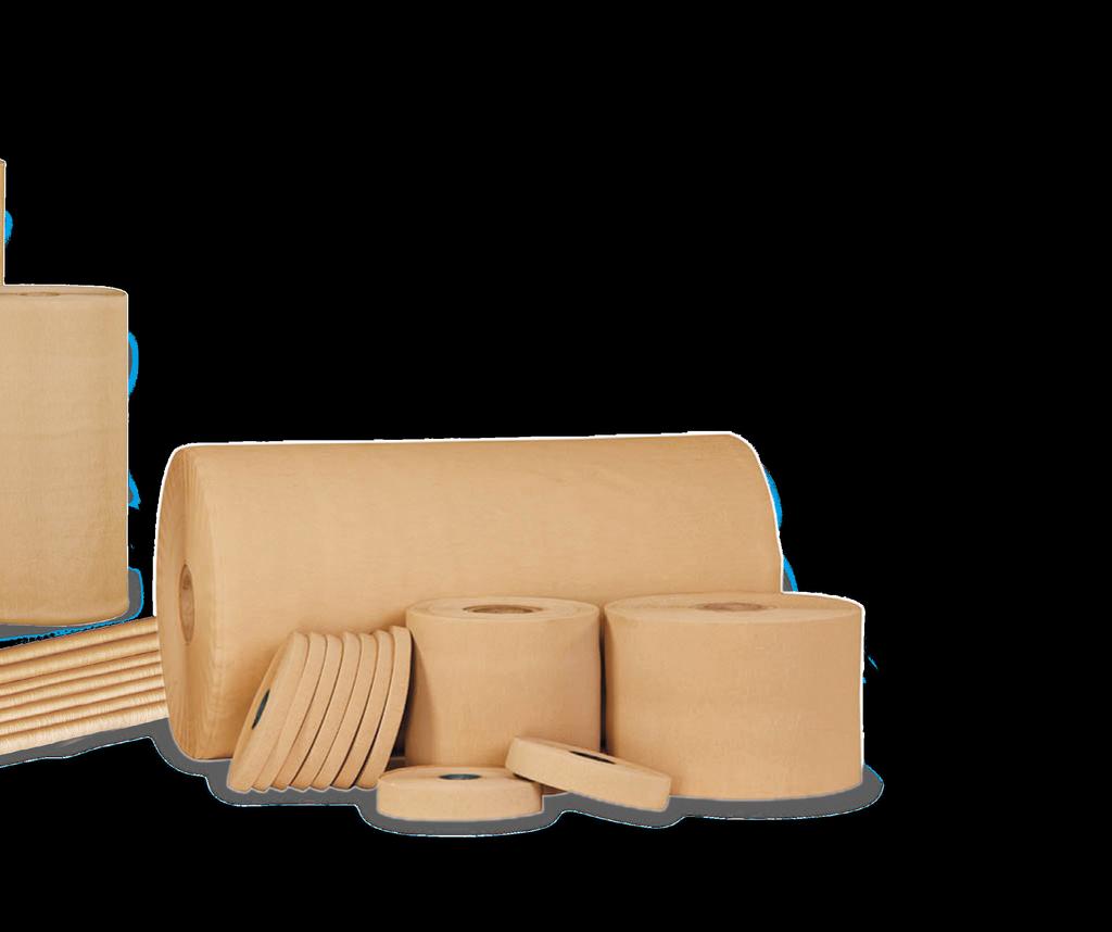 A wide range of products to meet every insulation application 11 Raman Sigma diamond dotted paper Manufactured from insulation press paper and partially coated with epoxy resin on one or both sides