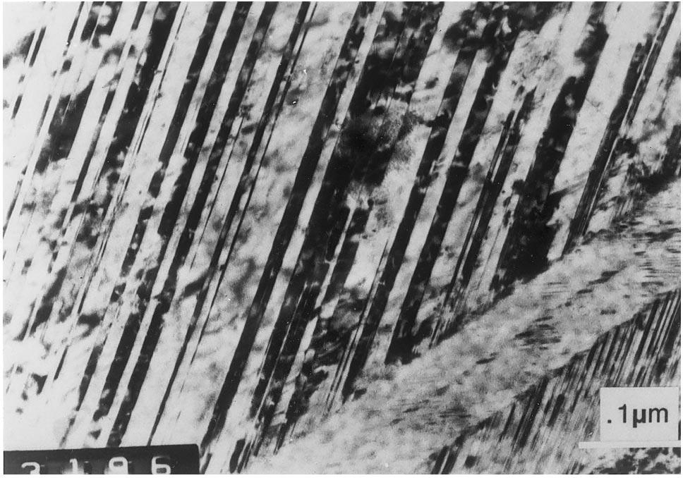 432 Fig. 4. Electron micrograph of high-mn austenite strained to fracture at 25 C. Fig. 2. Temperature dependence of work hardening at different true plastic strains for high-mn austenite.