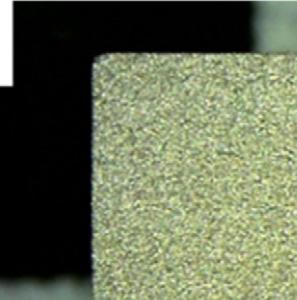 Also, by using field emission scanning electron microscopy (FE-SEM, SU8220, Hitachi, Japan) and field