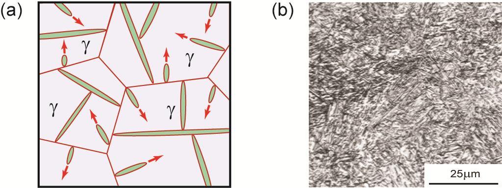 Figure P31: the martensite transformation: (a) nucleation from austenite grain boundaries; (b) micrograph of martensite (Image courtesy of ASM Micrograph Center, ASM International, 2005); (c) lattice
