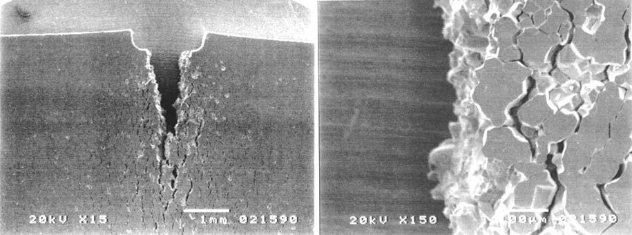 Fig. 6 SEM images of the sensitized type-304 specimen surface around the notch with crosshead speed of 0.1 mm/min at 25 o C in charging solution. Fig.