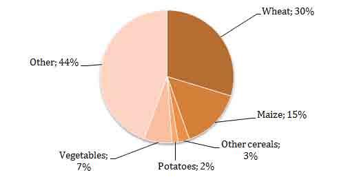 128 Muhedin Nushi Figure 5-1: Breakdown of harvested area by main crops, 2008, Kosovo under UNSCR 1244/99 Source: STATISTICAL OFFICE OF KOSOVO [8].