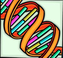NUCLEIC ACIDS AND