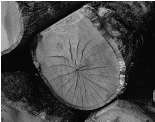 Shrinkage Values for Western Woods Species Tangential Radial Douglas-fir 7.