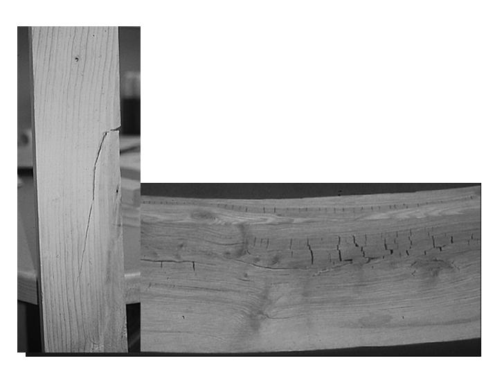 Longitudinal Shrinkage in Compression Wood Breaks across grain