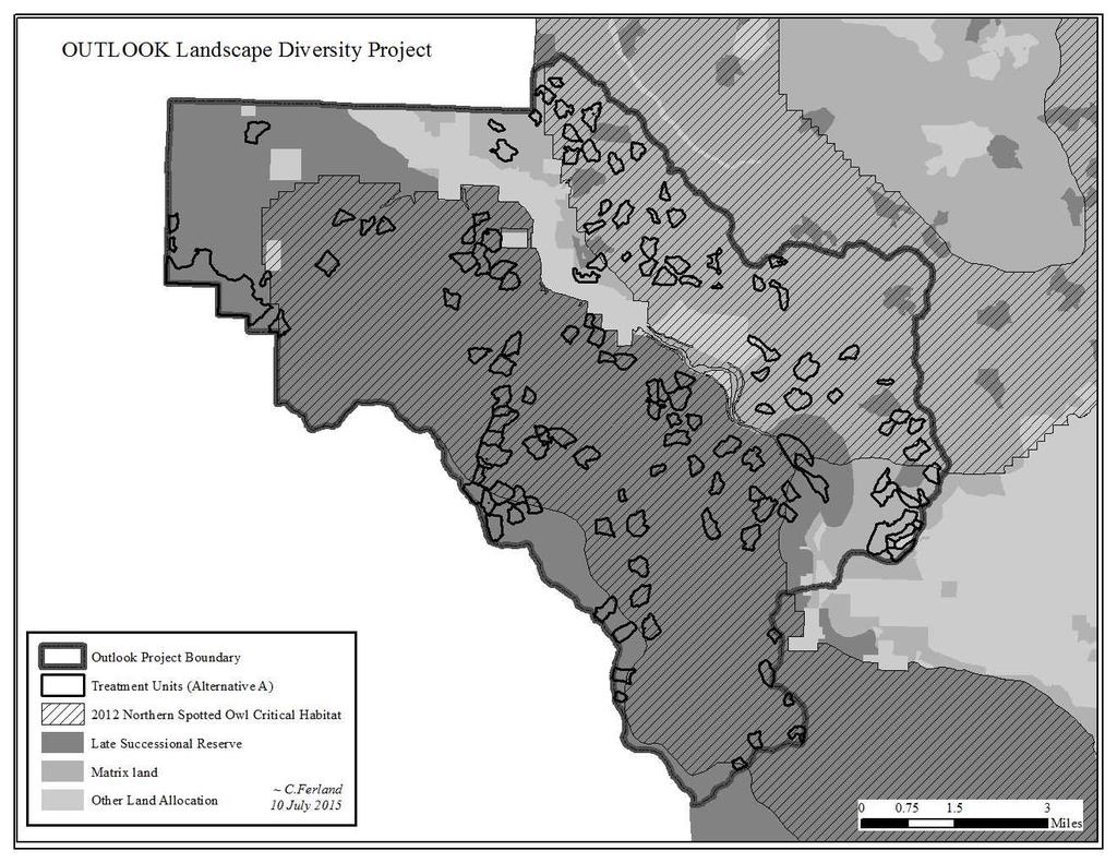 Figure 4 Current land allocation and NSO critical habitat composition for the Outlook project area.