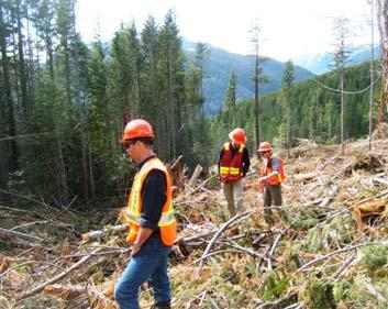 Findings BC Timber Sales 2011 SFI Certification/ISO 14001 Surveillance Audit Page 3 Audit Objectives The following audit objectives were included within the scope of the audit: A full scope