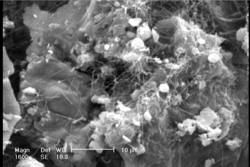 % silicon metal as additive, fired at 1100 C, which shows that no SiC whiskers are formed. Figure 11 Micrograph of chamotte carbon refractory resole bond containing 6 wt.