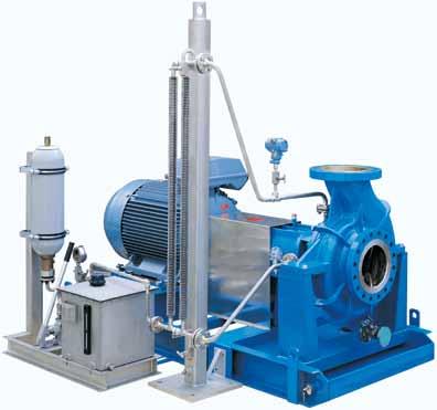 and Hydraulic Design Flexibility The ERPN is the pump of choice for severe chemical, petrochemical, refining and