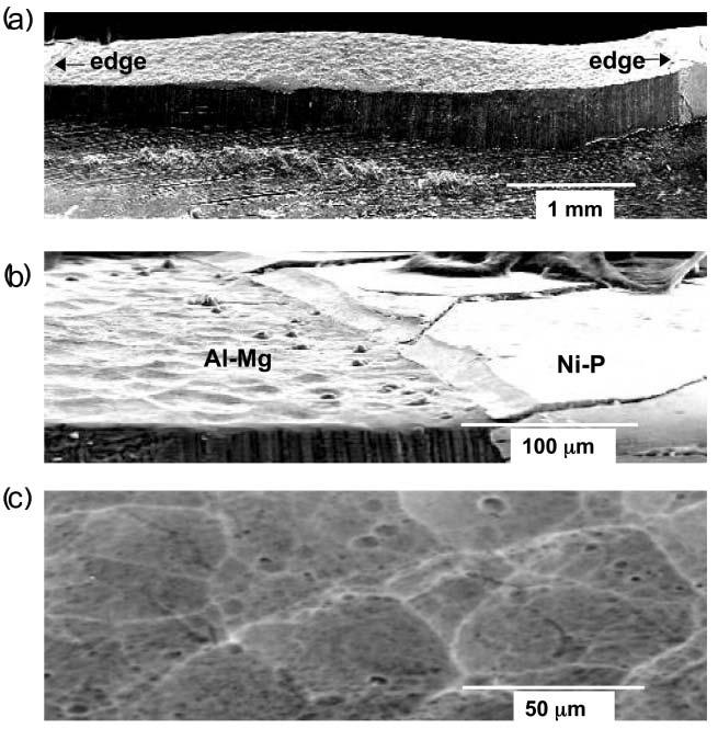 Fig. 6 SEM micrographs of the sputtered crater in the Ni P plated aluminium disk test specimen: (a) cross sectional portion, (b) edge of the cross sectional portion, and (c) central portion of crater