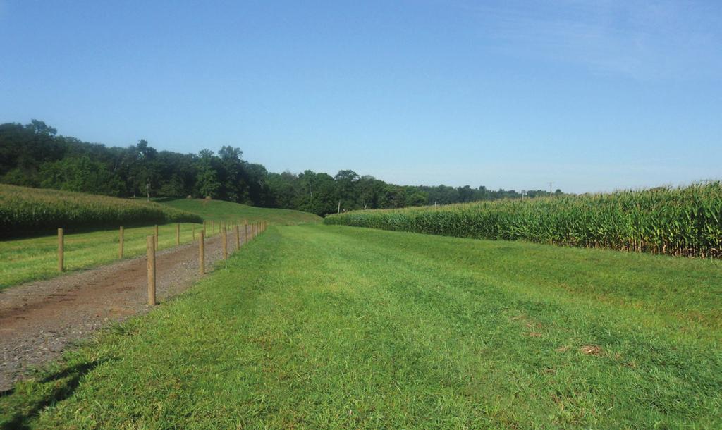 On a field in Stark County, Ohio, the before photo indicates that the farm s dairy cows were walking outside of the access road, tearing up the field, causing gully erosion and surface water runoff.