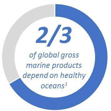 An Oceans Supplement to the Natural Capital Protocol Technical Briefing Note What is the need? Oceans support millions of jobs, and contribute an estimated US $2.