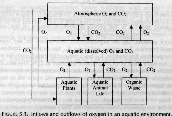 Dissolved Oxygen We can model DO and CO 2 in an