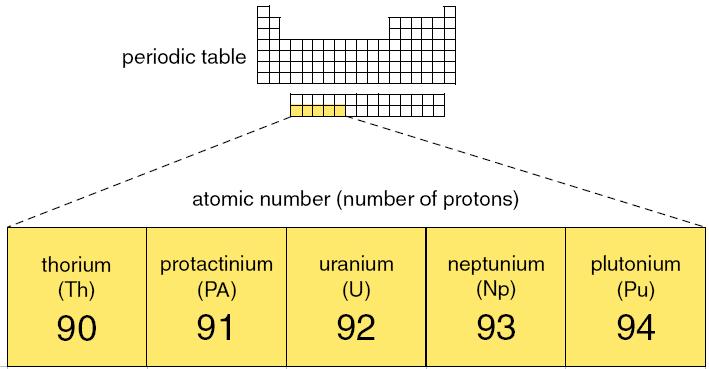 Periodic Table Thorium, Uranium and