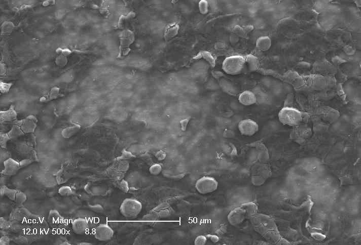 (a) u v w x y z SEM images of ITO heater surface after being boiled in DI water (a), 0.01 vol% diamond nanofluids (b), and 0.1 vol% silica nanofluids (c).