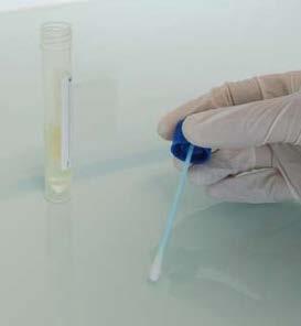 swabs offer better recovery than spun/cotton swabs due
