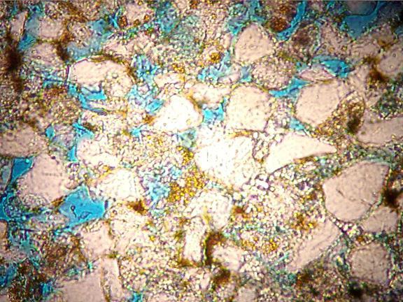 Thin Sections Analysis at 1492 Ft. Thin sections were made at 1 foot intervals from 1492-1494 ft. and 1500-1502 ft. Blue shows porosity. Yellow indicates Potassium Feldspar.